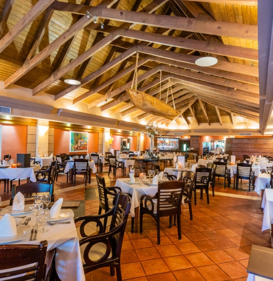 Gastronomy - Vista Sol Punta Cana