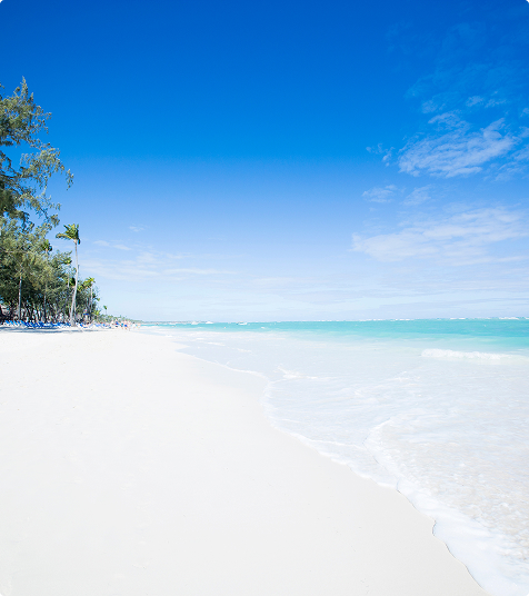Offers - Vista Sol Punta Cana