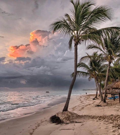 Offers - Vista Sol Punta Cana