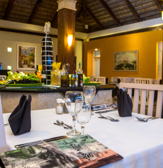 Gastronomy - Vista Sol Punta Cana