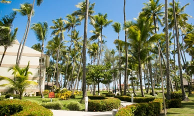 Ubicación - Vista Sol Punta Cana