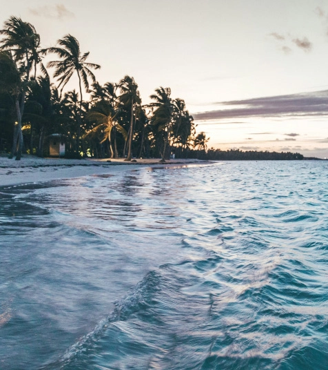 Offers - Vista Sol Punta Cana