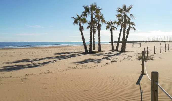 Playa con palmeras y cielo despejado, cerca de un muelle al fondo.