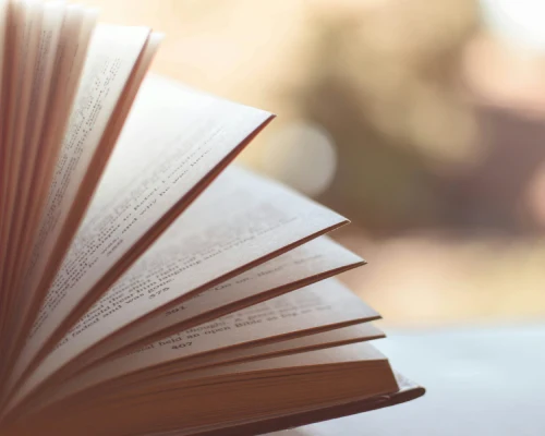 P&aacute;ginas de un libro abiertas, enfocadas en primer plano con luz suave de fondo.