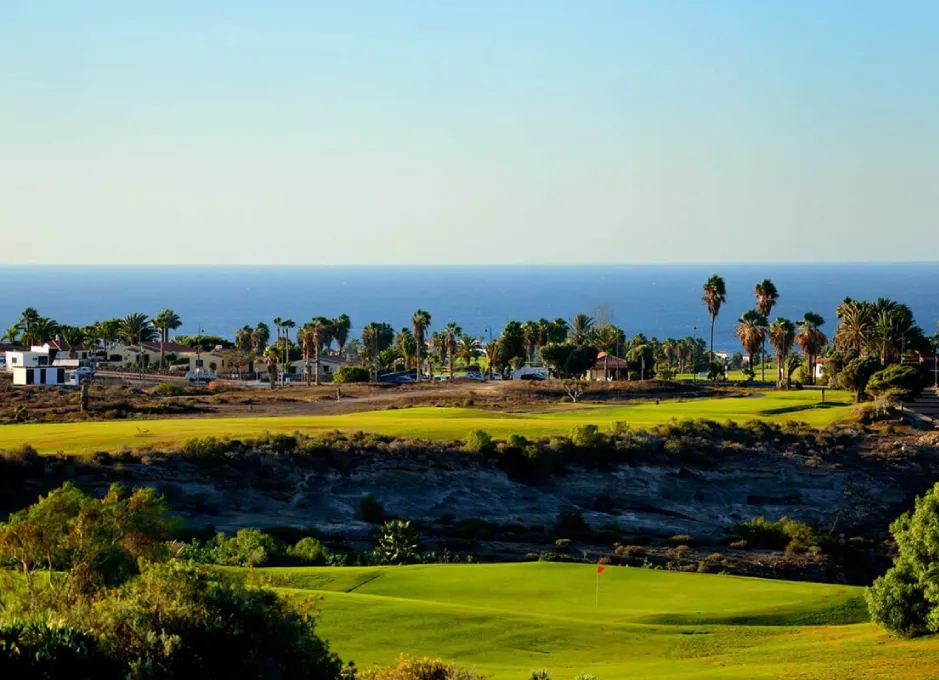 Campo de golf con palmeras y casas al fondo, junto al mar bajo un cielo despejado.