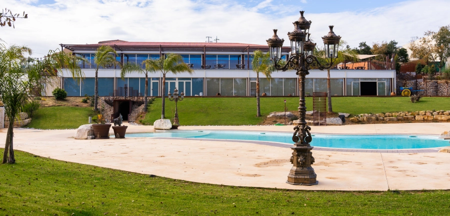 Casa moderna com piscina, gramado e palmeiras ao fundo em um dia claro.