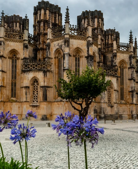 Catedral gótica majestosa com flores roxas em primeiro plano e céu nublado ao fundo.