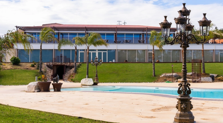 Mansão moderna com piscina, palmeiras e poste antigo, rodeada por gramado.