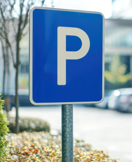 Placa de estacionamento azul com letra "P" em branco em área externa com vegetação ao fundo.