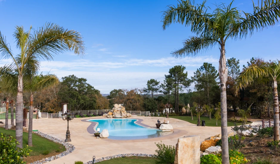 Piscina ao ar livre cercada por palmeiras e vegetação, com céu azul ao fundo.