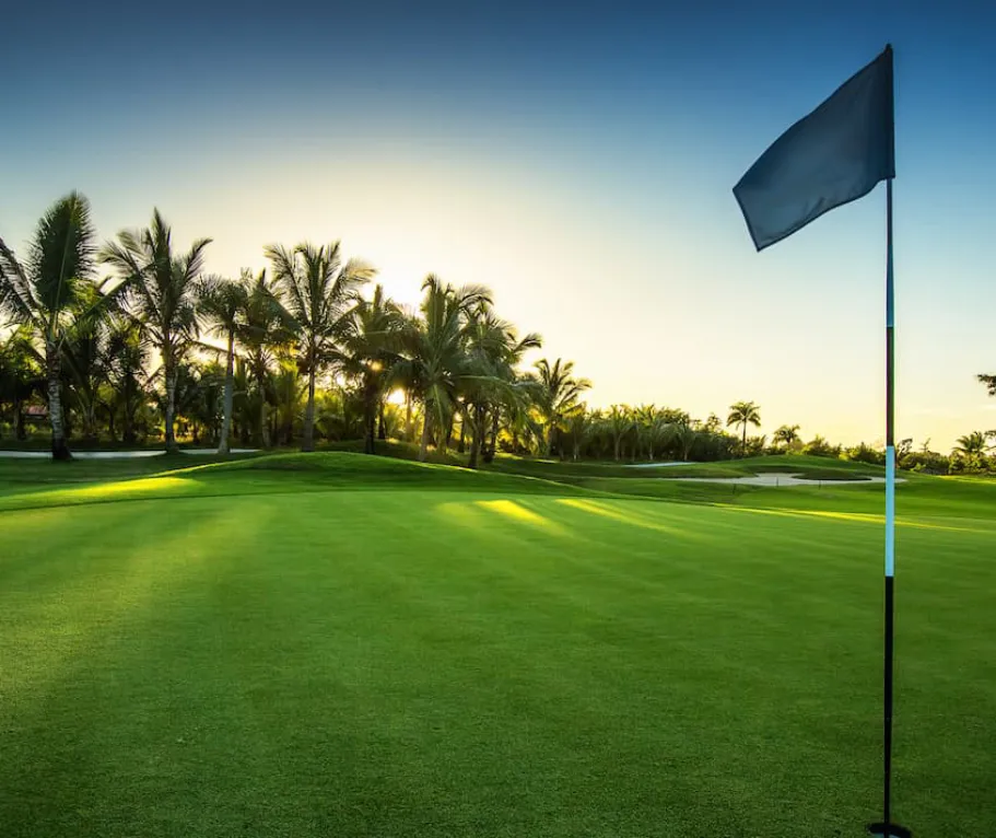 Campo de golf al atardecer con palmeras y bandera ondeante.