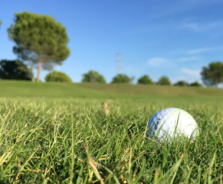 Pelota de golf entre el césped con árboles al fondo bajo un cielo azul.