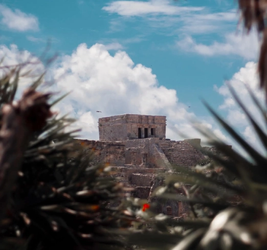Ruinas mayas con un cielo azul y nubes; plantas en primer plano.