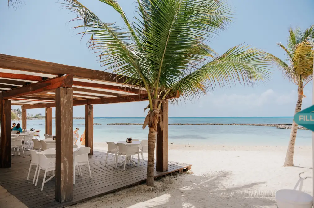 Terraza con sillas blancas junto al mar, rodeada de palmeras en una playa soleada.
