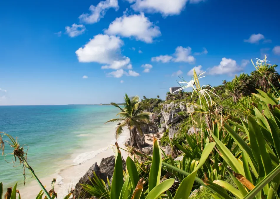 Playa tropical con palmeras, flores y acantilados bajo un cielo azul con nubes esponjosas.