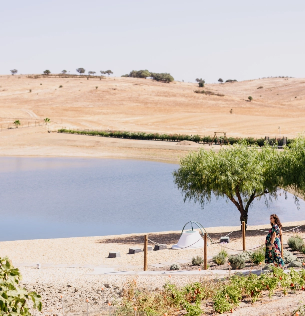 Paisagem árida com lago, árvore e pessoa ao fundo.