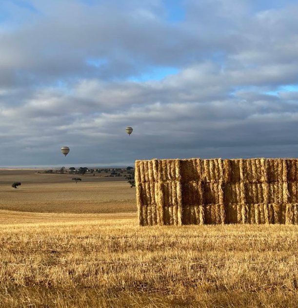 Campo com fardos de feno e balões de ar quente no céu sob nuvens e céu azul.