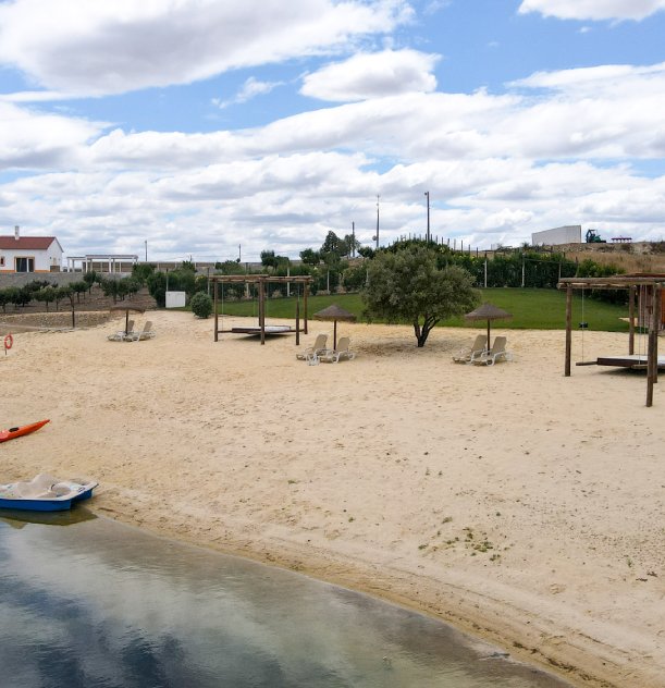 Praia urbana com areia, espreguiçadeiras e palmeiras perto de uma área com grama e árvores.