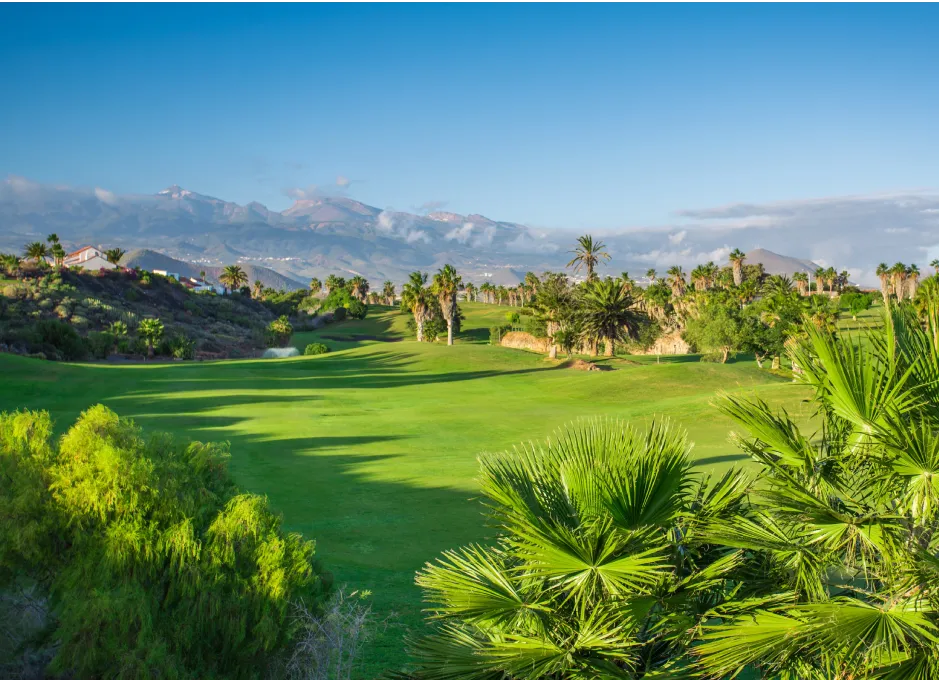 Campo de golf rodeado de palmeras, con montañas al fondo bajo un cielo despejado.