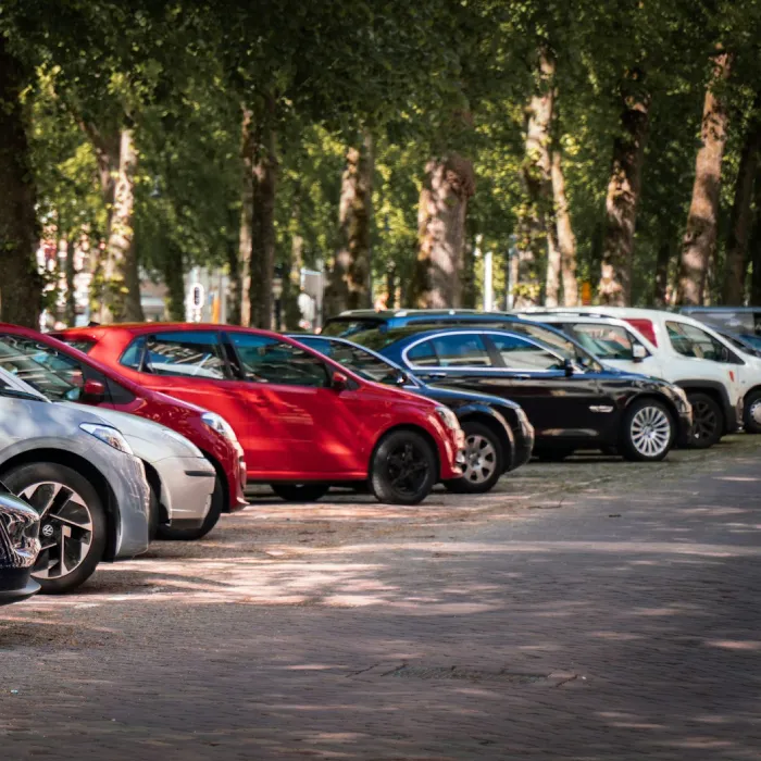 Servicios - Webs Mirai Futura