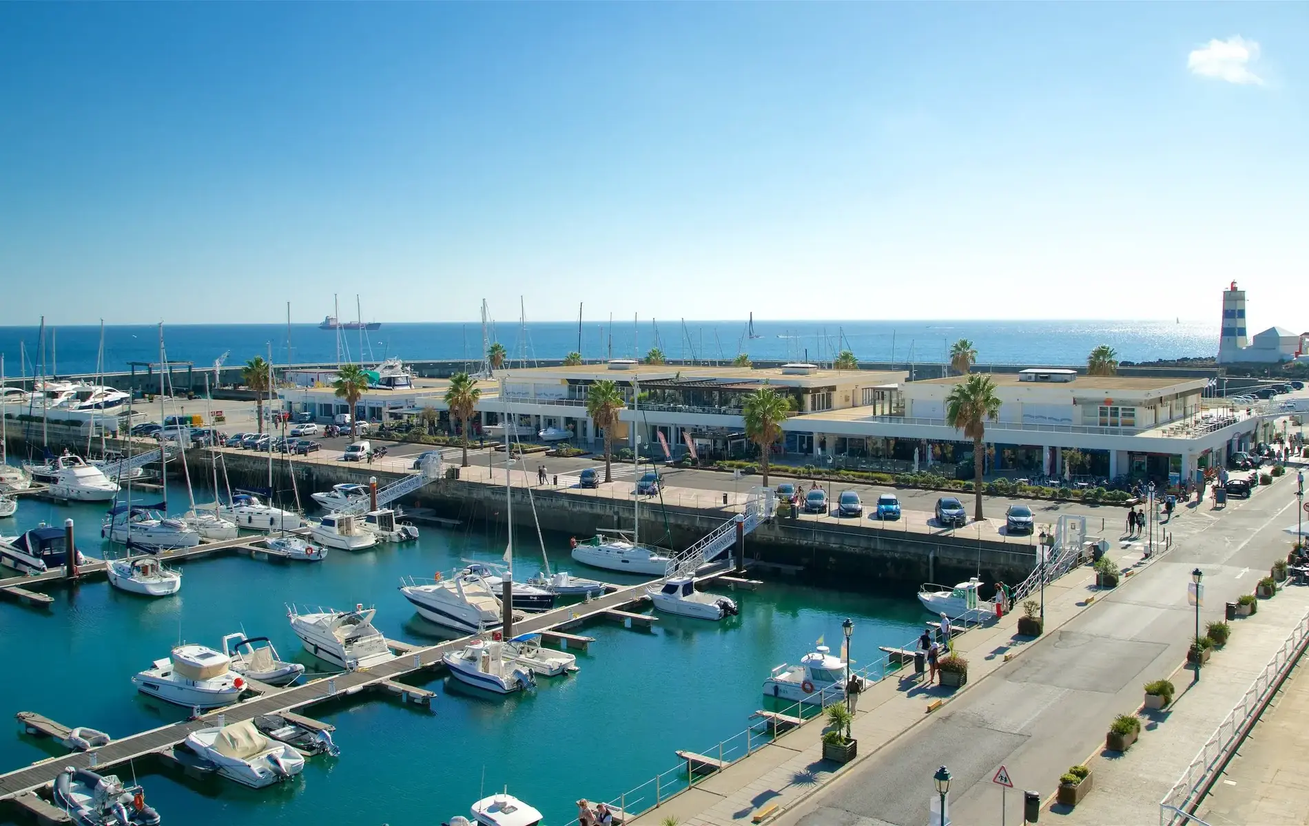 Marina with boats, palm trees, and buildings under a clear blue sky.
