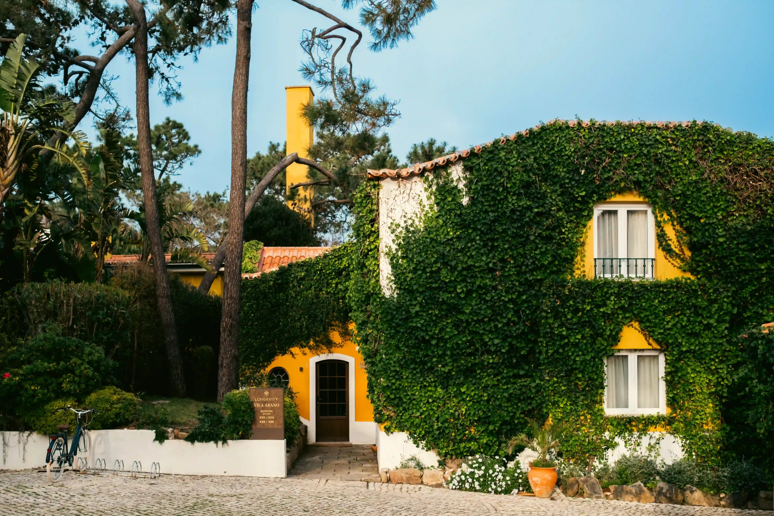 House with vine-covered walls, trees, a bicycle, and cobblestone path.