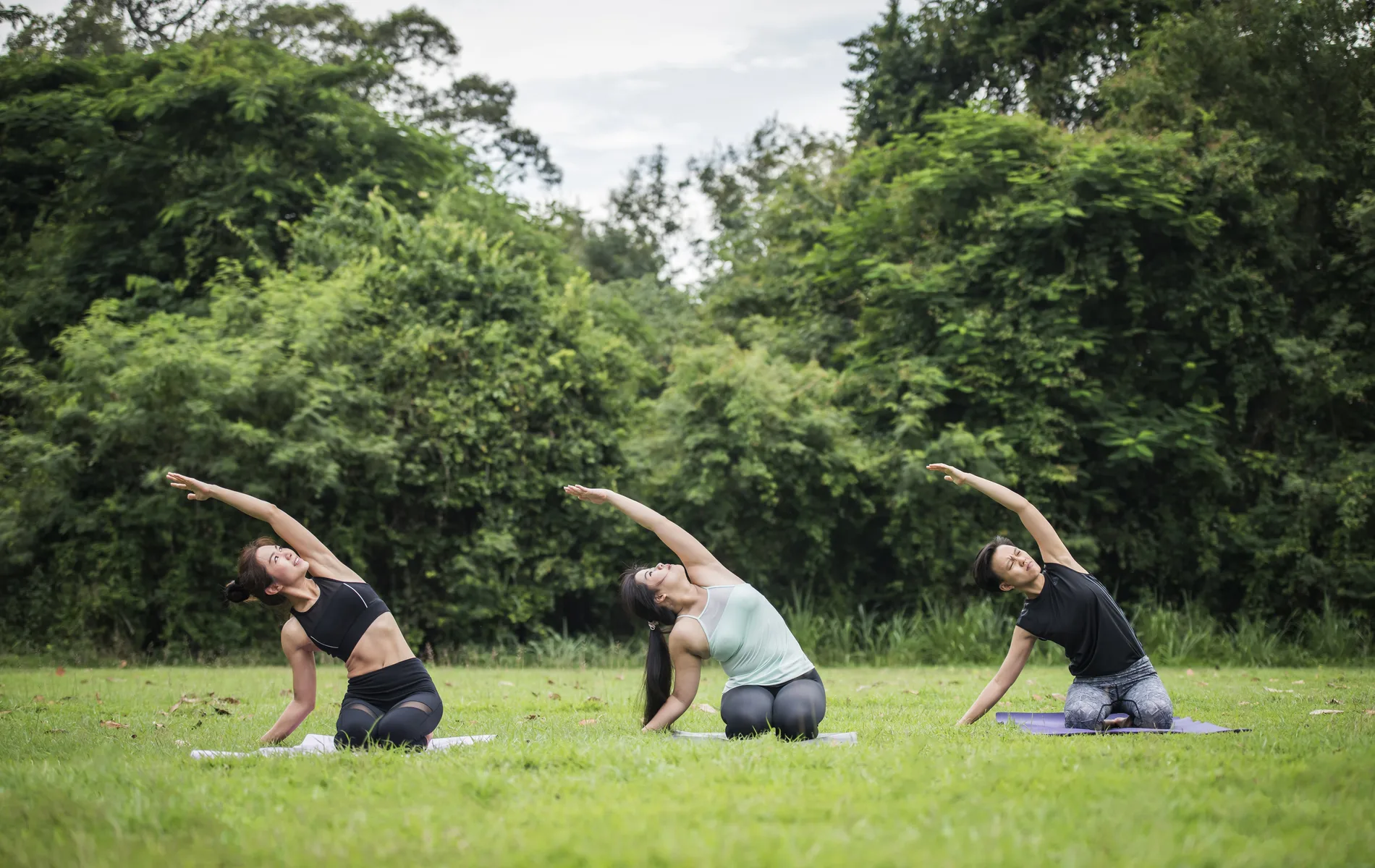 Three people doing yoga side stretches on grass in a park.