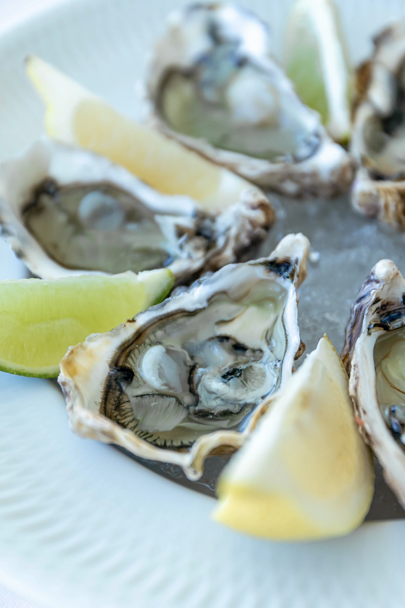 Restauración - Longevity Senses Cascais