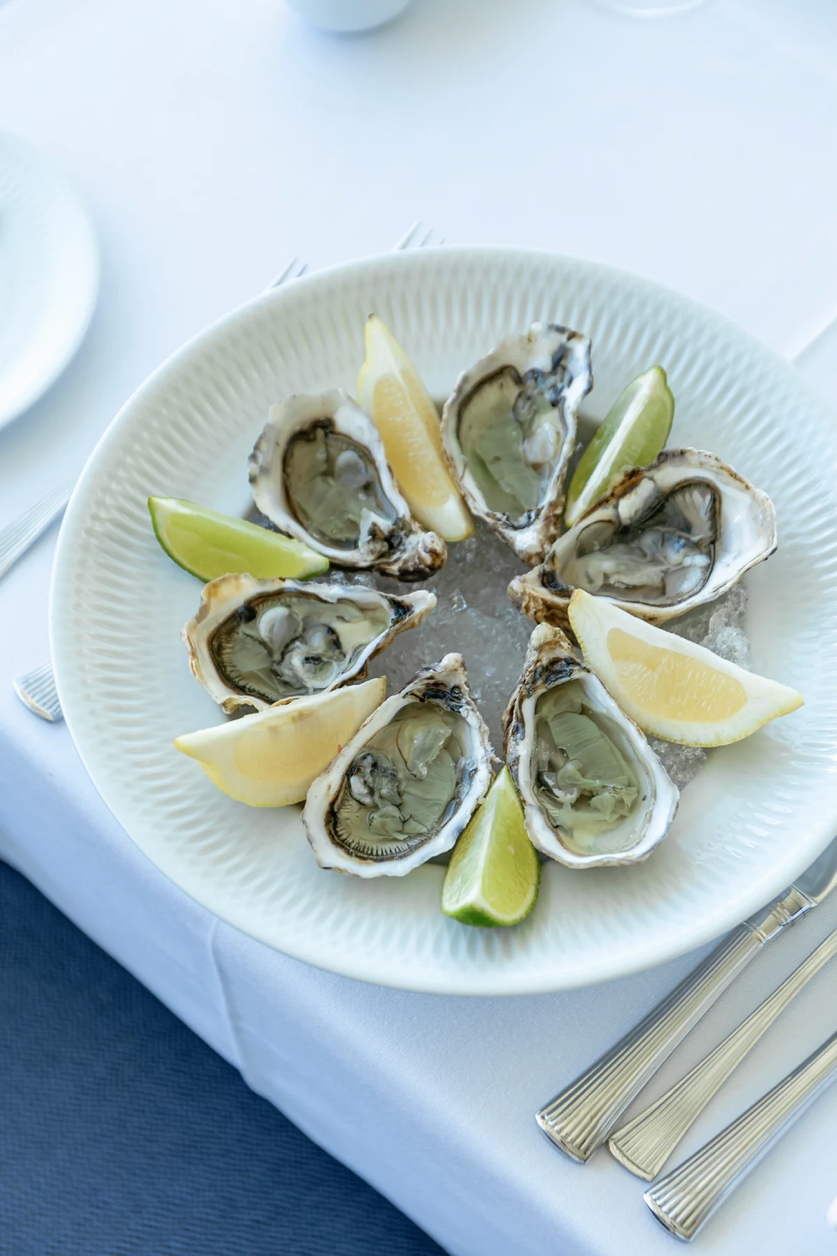 Longevity Senses Cascais