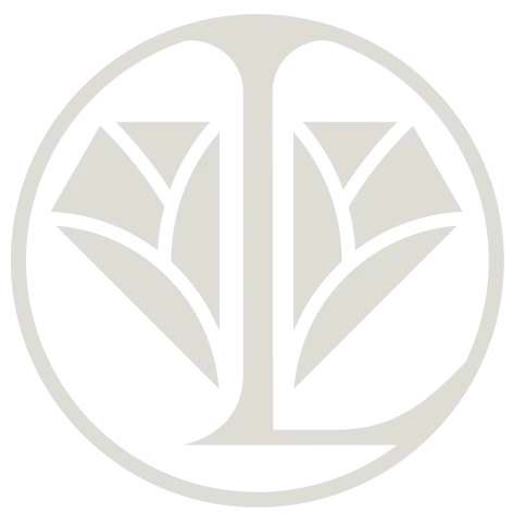 Mindfulness & Guided Meditation Therapy