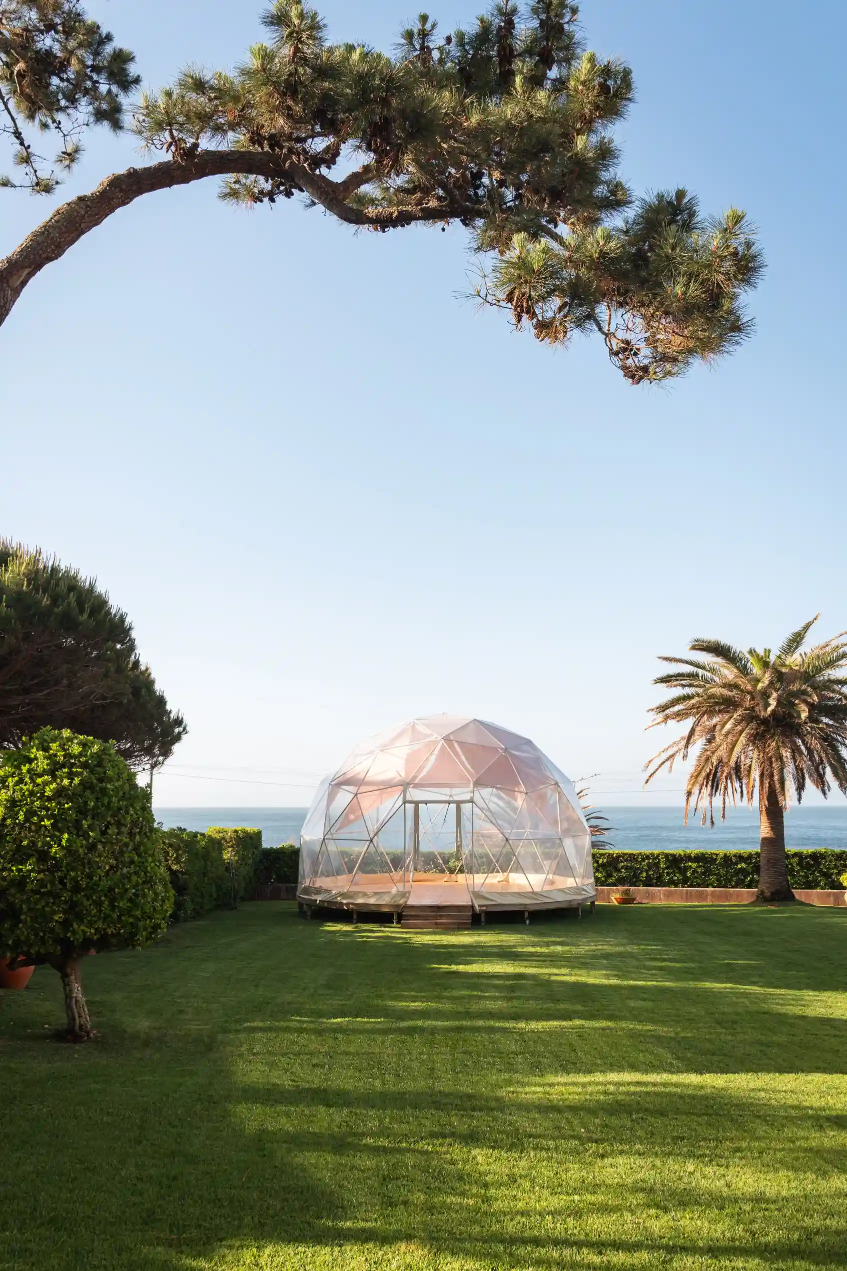 Longevity Senses Cascais