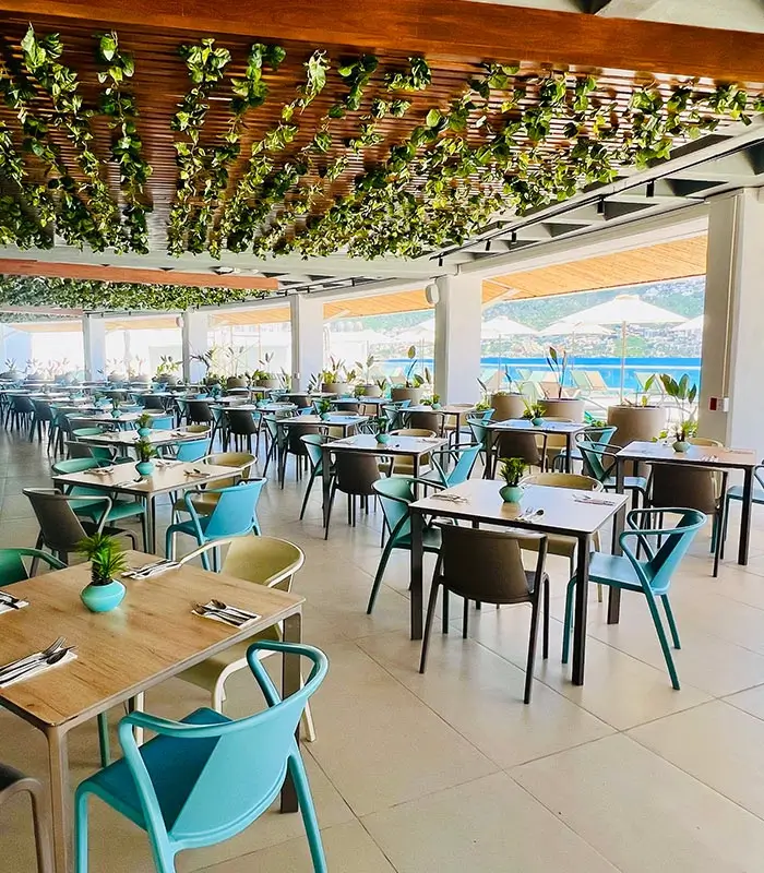 Restaurante luminoso con mesas de madera, sillas coloridas y techo decorado con plantas colgantes.