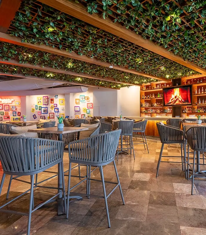Bar moderno con techo decorado de plantas, mesas altas y barra iluminada con licor en estantes.