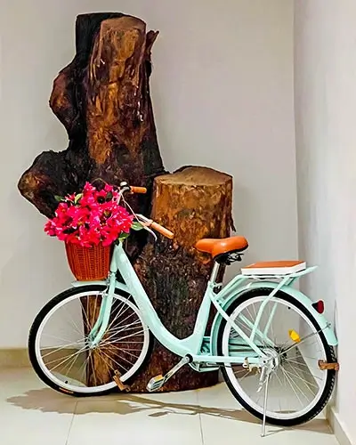 Hotel Amares Acapulco