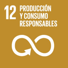 Número 12, "Producción y consumo responsables" con símbolo de infinito sobre fondo marrón.
