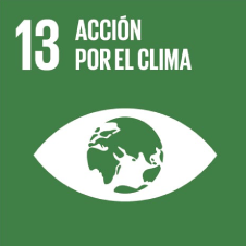 Número 13, acción por el clima, icono de Tierra en fondo verde.