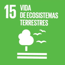 Icono verde del ODS 15: Vida de Ecosistemas Terrestres, con un árbol y aves.