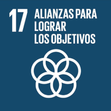 Icono del ODS 17: "Alianzas para lograr los objetivos" con círculos entrelazados.