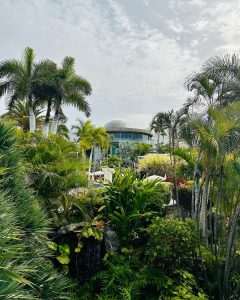 World Recycling Day: Our commitment to the planet - Adrian Hoteles