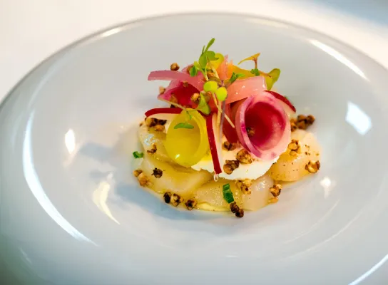 Plato gourmet con verduras en espiral y guarnición crujiente sobre un plato blanco.