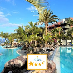Piscina rodeada de palmeras con vista al mar y un hotel con un reconocimiento de "Top Hotel".