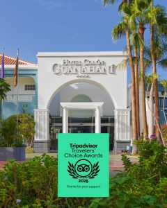 Hotel Col&oacute;n Guanahan&iacute; con premio Tripadvisor 2025, rodeado de palmeras y cielo azul.