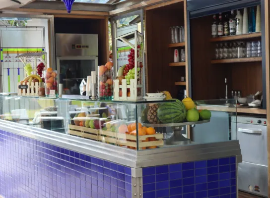 Puesto de jugos con frutas variadas como piñas y sandías sobre el mostrador de azulejos azules.