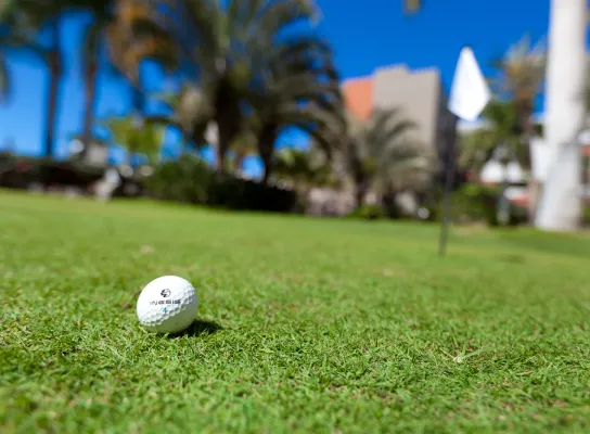 Pelota de golf en el césped, con bandera al fondo y árboles bajo un cielo azul.