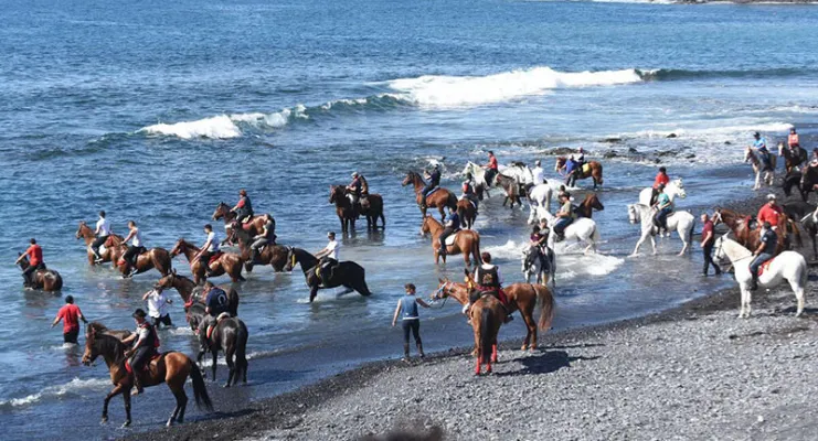 Grupo de personas a caballo en una playa, algunos están en el agua y otros en la arena.