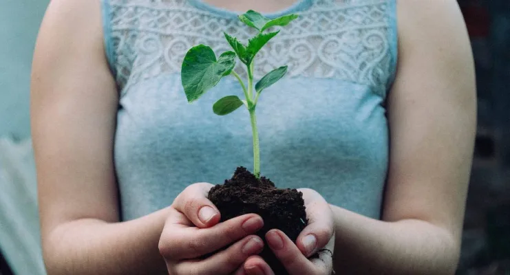 Persona sosteniendo una planta joven con tierra en sus manos.