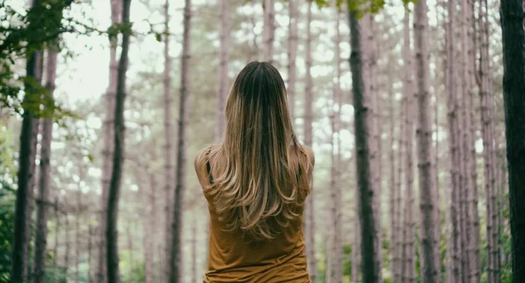 Persona de espaldas en un bosque de árboles altos.