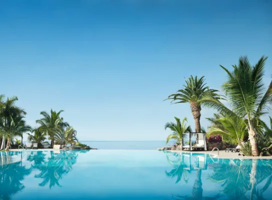 Piscina infinita rodeada de palmeras con un cielo despejado al fondo.