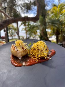 Plato gourmet con decoraci&oacute;n amarilla y salsa roja en entorno al aire libre.