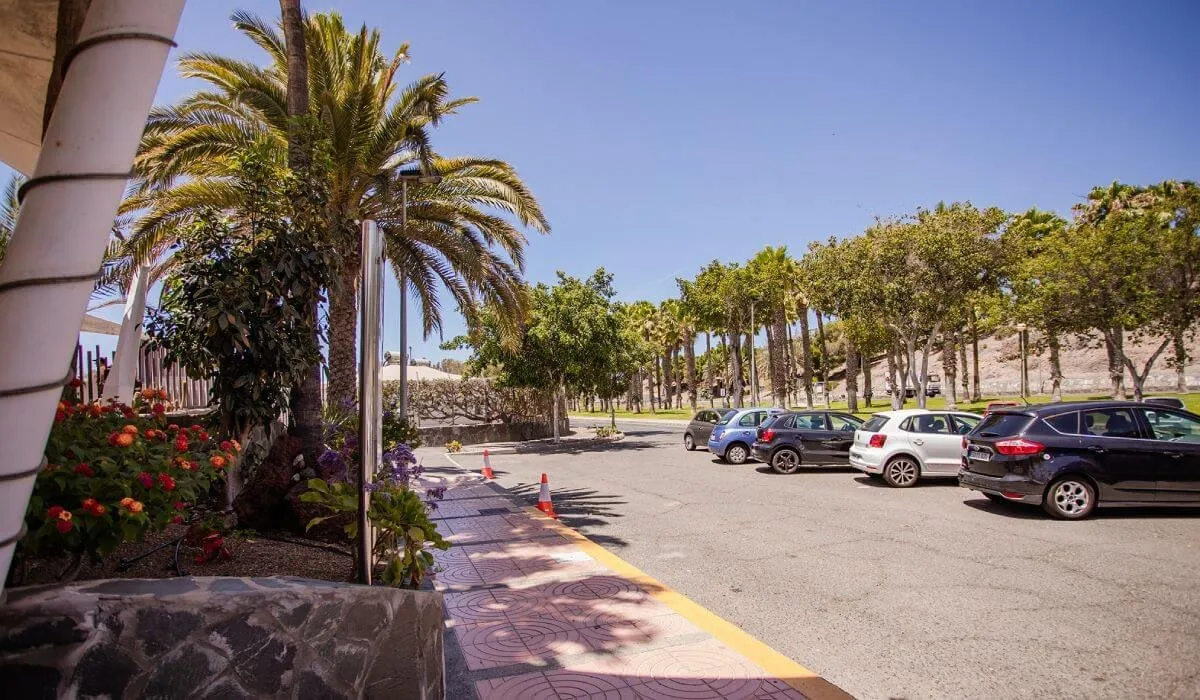Estacionamiento con palmeras y varios autos estacionados bajo un cielo despejado.